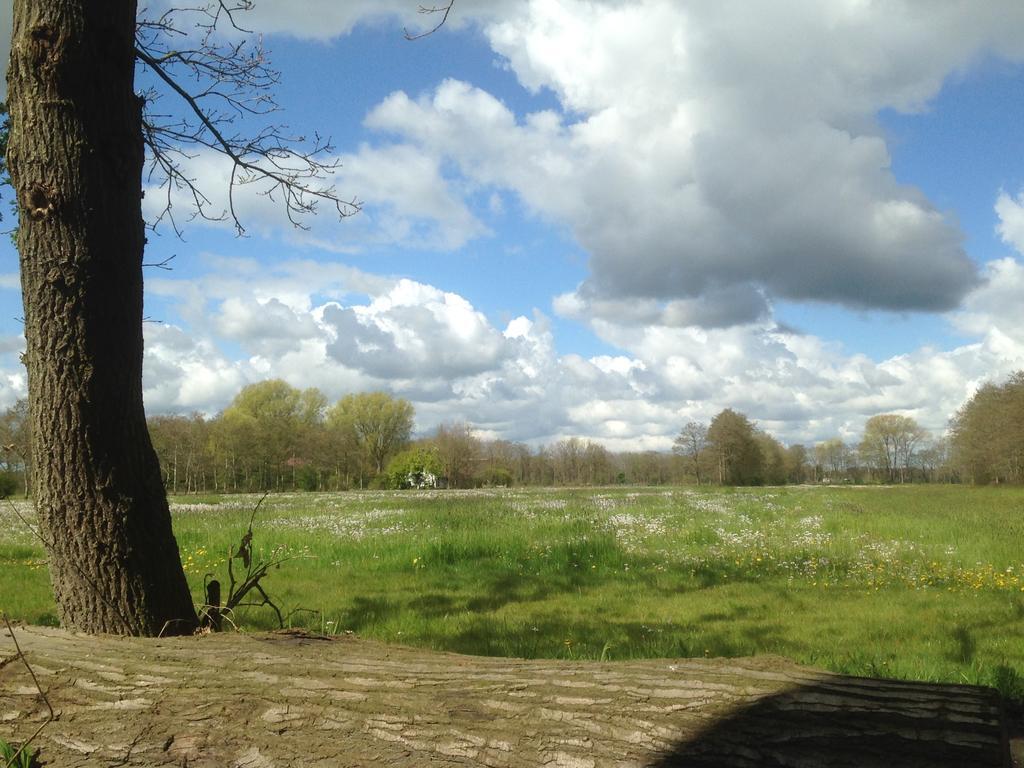 Bij En Boom Bed & Breakfast Drachten Exterior photo